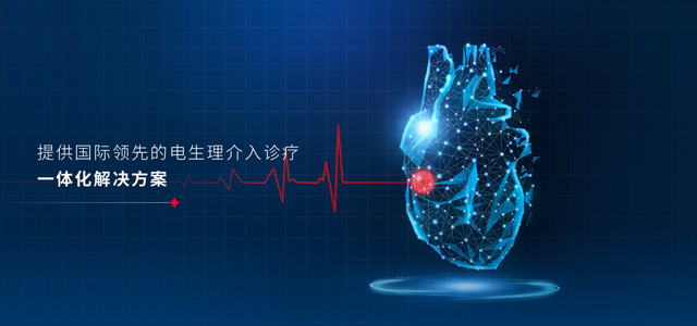 上海微創電生理醫療科技股份有限公司